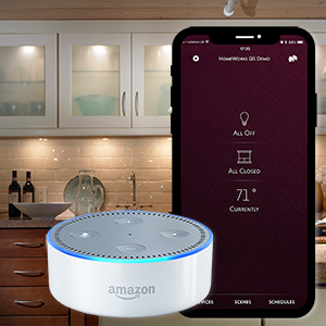 Lutron Homeworks App Amazon Echo dot Integration